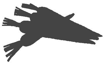 Image Alternative text