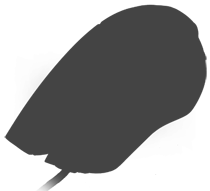 Image Alternative text